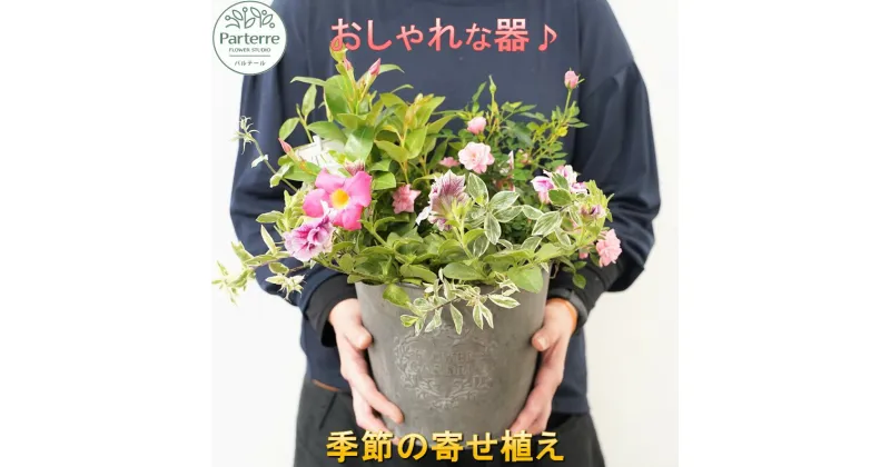 【ふるさと納税】 花 花屋 が贈る 季節 の 寄せ植え 鉢 日付指定可能 父の日 記念日 誕生日 結婚記念日 バレンタイン ホワイトデー 卒業祝い 入学式祝い 敬老の日 正月 還暦 古希 喜寿 ギフト おしゃれ 花苗 観葉植物 ガーデニング 鉢植え 花工房パルテール