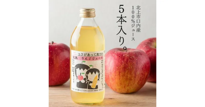 【ふるさと納税】果汁100％ リンゴジュース （ 350ml × 5本 ） 林檎 金成園