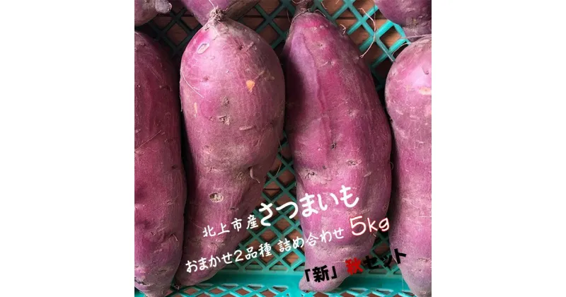 【ふるさと納税】【予約受付2024/10月中旬～発送予定】さつまいも 5kg セット 野菜 ソムリエ 齋藤セレクト「新」秋セット さつま芋 数量 限定