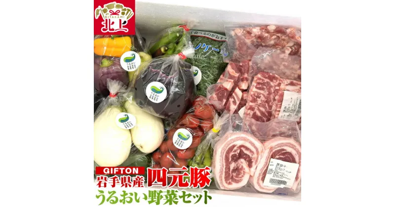 【ふるさと納税】GIFTON 岩手 四元豚 厳選カット肉 と 季節のうるおい 野菜セット 新鮮 旬 うるおい春夏秋冬 野菜 産地直送 冷蔵 希少 豚 肉 ポーク 豚バラ ロース トンテキ しゃぶしゃぶ 薄切り スライス肉 調理 料理 ごえん株式会社