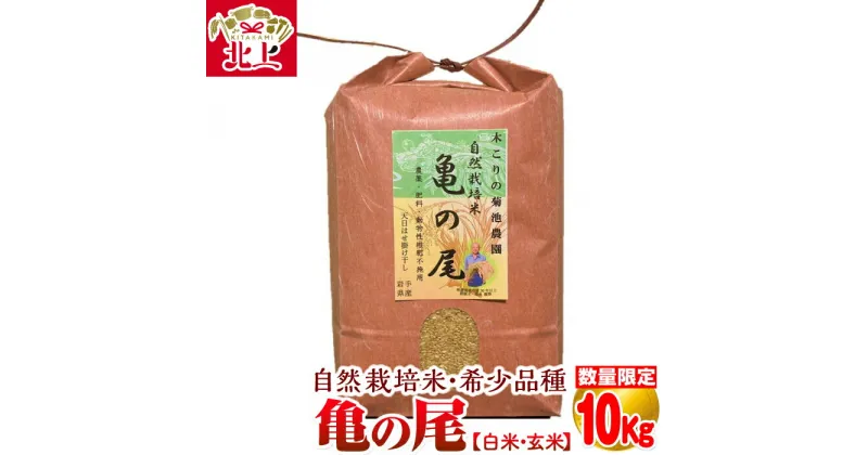 【ふるさと納税】令和5年 度 数量限定 木こりの菊池農園　自然栽培米【亀の尾】(白米・玄米) 10kg お米 ごはん 白米 玄米 自然栽培 人気のお米 北上 自然 栽培 米