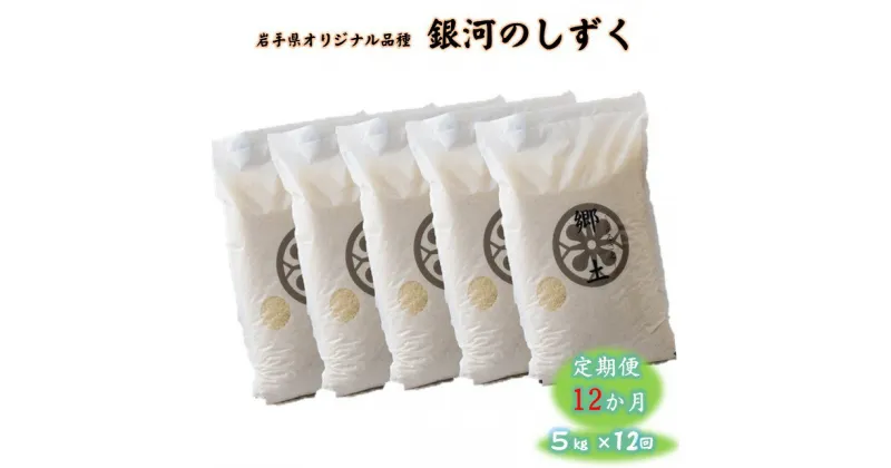 【ふるさと納税】『 予約受付 / 令和 6年産 』 12ヶ月 お米 定期便 銀河のしずく 5kg ＼2024年11月発送開始 ／400年続く農家が育てた菅野家の お 米 白米 精米 ごはん 減農薬 岩手県 オリジナル品種 菅野俊