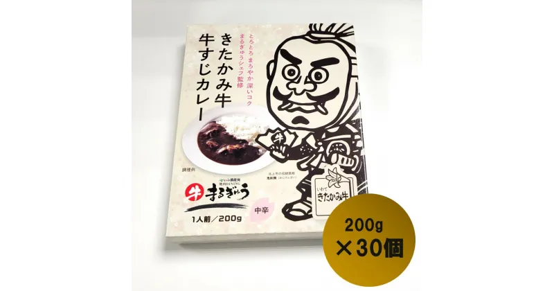 【ふるさと納税】 きたかみ牛 牛すじ カレー （ 200g × 30個 ）中辛 タイプ レトルト カレー 黒毛 和牛 西部開発農産 備蓄 防災