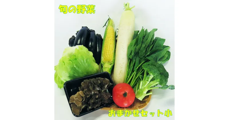 【ふるさと納税】【 平留商店 】鮮度抜群！こだわりの旬の野菜おまかせセット(小)（野菜6～7品）新鮮 野菜 セット 詰め合わせ 岩手 北上 ※5/11より寄附額変更となりました