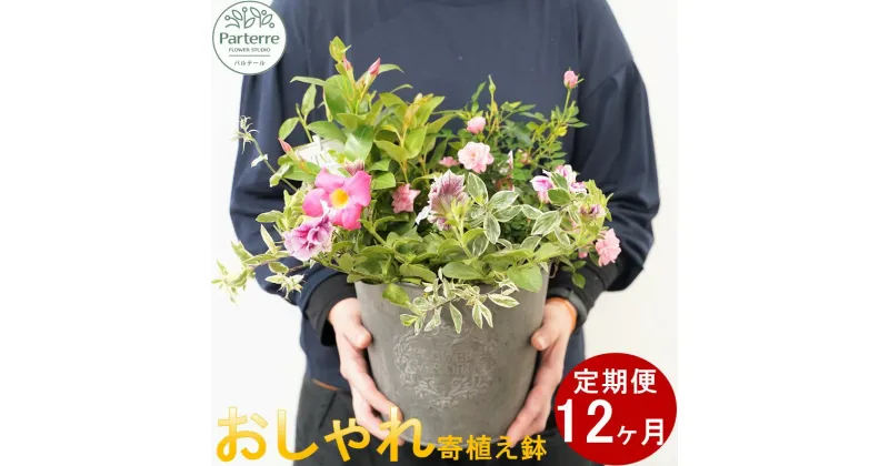 【ふるさと納税】定期便/12ヶ月 花 季節の寄せ鉢 寄せ植え パルテール便り付き お祝い 記念日 贈り物 プレゼント ガーデニング 園芸 おしゃれ 花工房パルテール