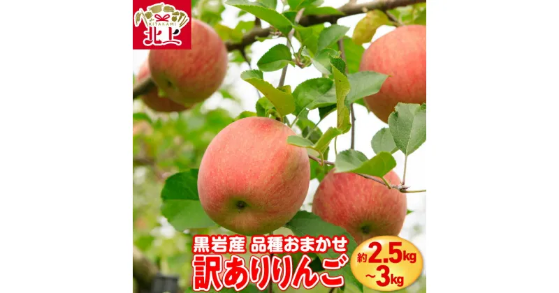 【ふるさと納税】 黒岩産 ( 訳あり ) りんご 約2.5～3kg 品種おまかせ 訳有 リンゴ 林檎 新鮮 果実 フルーツ 岩手県 北上市 くろいわ産地直売所 訳あり 家庭用 ※9月中旬～収穫次第順次発送