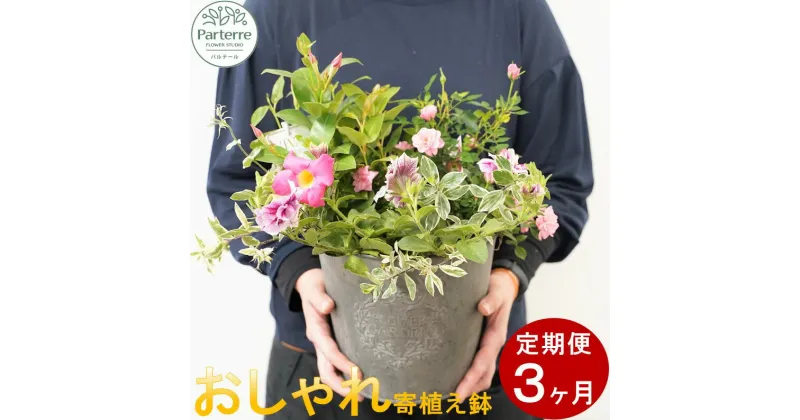 【ふるさと納税】定期便/3ヶ月 花 季節の寄せ鉢 寄せ植え パルテール便り付き お祝い 記念日 贈り物 プレゼント ガーデニング 鉢植え 園芸 花工房パルテール