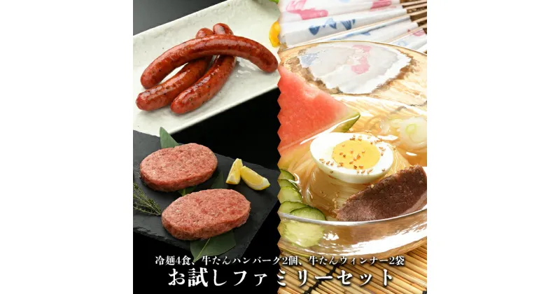 【ふるさと納税】お試しファミリーセット【やまなか家】牛肉 冷凍 BBQ アウトドア 誕生日 パーティー お祝い 牛タン ハンバーグ ウィンナー 豚肉 母の日 父の日 おすすめ お中元 お土産 贈り物 ご贈答 KYフーズ （K6-045）