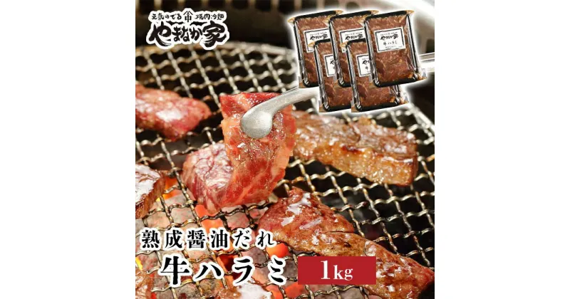 【ふるさと納税】旨みたっぷり牛ハラミ【熟成醤油だれ】1kg 焼肉 やまなか家 牛肉 冷凍 BBQ アウトドア パーティー お祝い ガッツリ 母の日 父の日 お中元 お土産 贈り物 ご贈答 KYフーズ (K2-025)