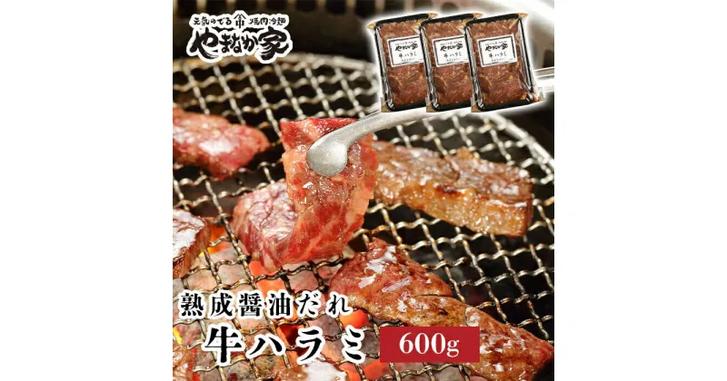 【ふるさと納税】旨みたっぷり牛ハラミ【熟成醤油だれ】600g 焼肉 やまなか家 牛肉 冷凍 BBQ アウトドア パーティー お祝い ガッツリ 母の日 父の日 お中元 お土産 贈り物 ご贈答 KYフーズ (K2-028)