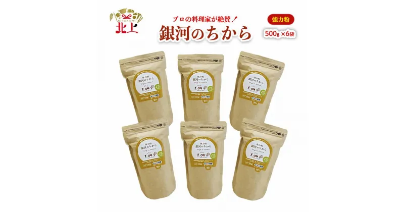 【ふるさと納税】 【人気急上昇中】強力粉 銀河のちから(500g x 6袋) 徳用 小麦 粉 パン 料理 ベーカリー しっとり もちもち 国産 岩手県 北上市 西部開発農産