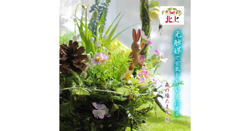 【ふるさと納税】空気をきれいにする 森の陽たまり (大) アートフラワー アレンジメント 観葉植物 消臭 除菌 空気清浄 光触媒 健康 花 雑貨 贈り物 プレゼント インテリア リビング 寝室 玄関 レストルーム あとりえヒロ