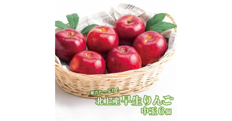 【ふるさと納税】北上産 果汁たっぷり 早生りんご 中玉6個 【2024年 9月中旬頃から発送予定】リンゴ 林檎 アップル 旬 果物 フルーツ fruit おやつ 採れたて フレッシュ ジューシー 贈答 プレゼント 八百屋 青果 フルーツきやなぎ