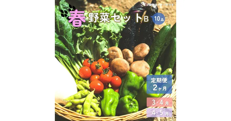 【ふるさと納税】【予約受付/2025年度】春 野菜セット B【 2ヶ月 定期便 】 10品 以上 季節 旬 春野菜 葉物 冷蔵 野菜室 ダイエット 栄養食 岩手県 北上産 季節限定 稀少 数量限定 タラの うど こごみ うるい アスパラガス カラー 人参 菜花 ほうれん草 P&Cリンク