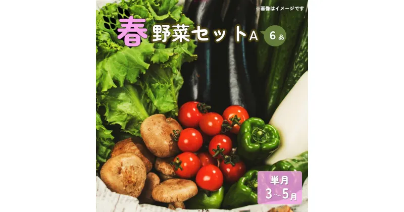 【ふるさと納税】【予約受付/2025年3月発送開始】春野菜セットA 6品 以上 季節 旬 春 野菜 葉物 冷蔵 野菜室 ダイエット 栄養食 岩手県産 北上産 季節限定 稀少 数量限定 タラの芽 うど こごみ うるい アスパラガス カラー 人参 菜花 つぼみ菜 ほうれん草 P&Cリンク