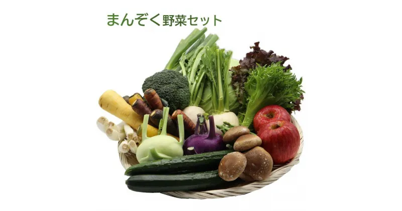 【ふるさと納税】まんぞく 野菜セット C（単月）〜いっぺ 北上 の 野菜 くってけでぇ〜 詰め合わせ 13品以上 人気 リピーター 八百屋 旬 季節 野菜 冷蔵 P&Cリンク