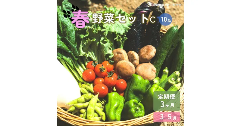 【ふるさと納税】【予約受付/2025年3月から発送】春 野菜セット C【 3ヶ月 定期便 】 10品 以上 季節 旬 春野菜 葉物 冷蔵 野菜室 ダイエット 岩手県 北上産 季節限定 稀少 数量限定 タラの うど こごみ うるい アスパラガス カラー 人参 菜花 ほうれん草 P&Cリンク