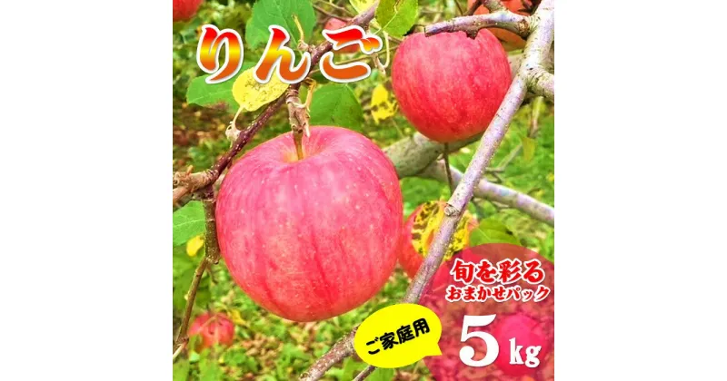 【ふるさと納税】【 りんご 北上市産 】旬を彩るおまかせパック 【 家庭用 】 5キロ (約13～20玉) 2種 セット 国産 林檎 リンゴ 果物 くだもの フルーツ 産地直送 旬 秋 冬 生産者 おすすめ ふるさと納税 限定 セット 金鈴園 金鈴園