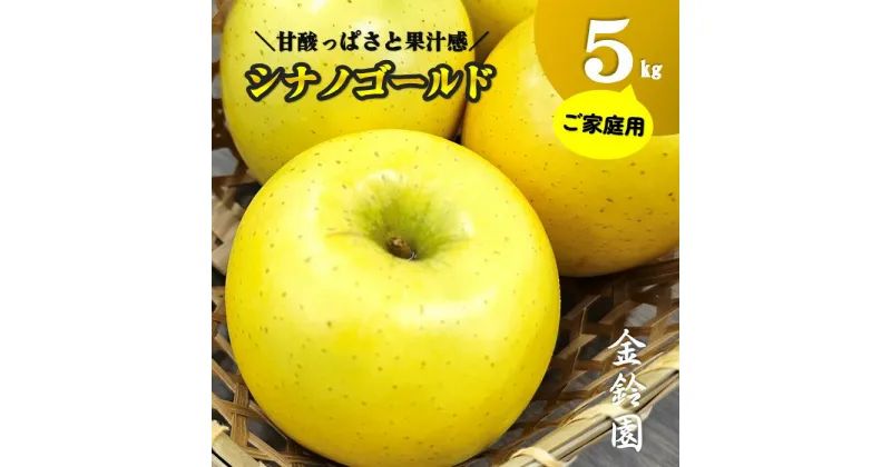 【ふるさと納税】予約受付 【 北上市産 りんご 】シナノゴールド 【 家庭用 】 5キロ (約13～20玉) ※10月下旬発送開始予定 国産 林檎 果物 フルーツ 産地直送 旬 秋 冬 金鈴園