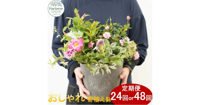 【ふるさと納税】季節の 寄せ植え 12ヵ月定期便 【 定期便 月2回 全 24回 or 月4回 全 48回 お届け】回数が 選べる 季節のお花 便り付き 花束 お祝い 記念日 クリスマス 贈り物 花 プレゼント 花工房 パルテール