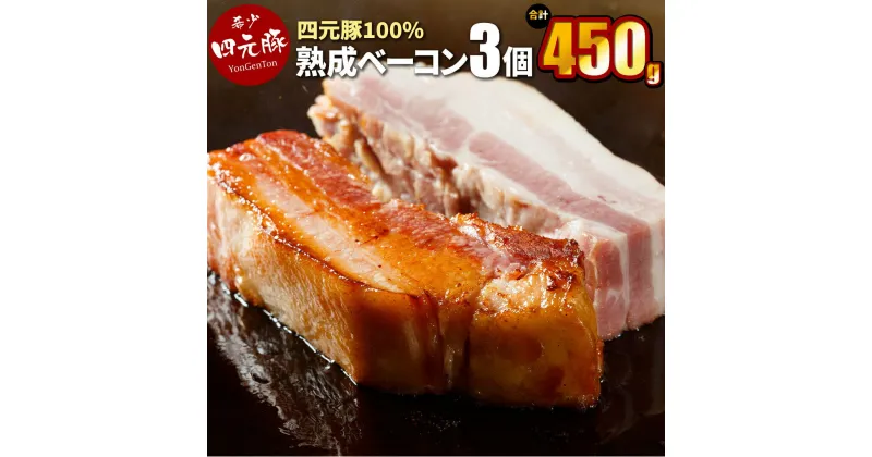 【ふるさと納税】GIFTON 岩手 四元豚 熟成ベーコン ブロック 150g ×3個セット （合計450g） 北上産 冷凍 総菜 豚 肉 加工品 プレゼント ギフト 贈り物 ご当地 みやげ お中元 お歳暮 年末年始 大晦日 年越し お正月 パーティー ごえん株式会社