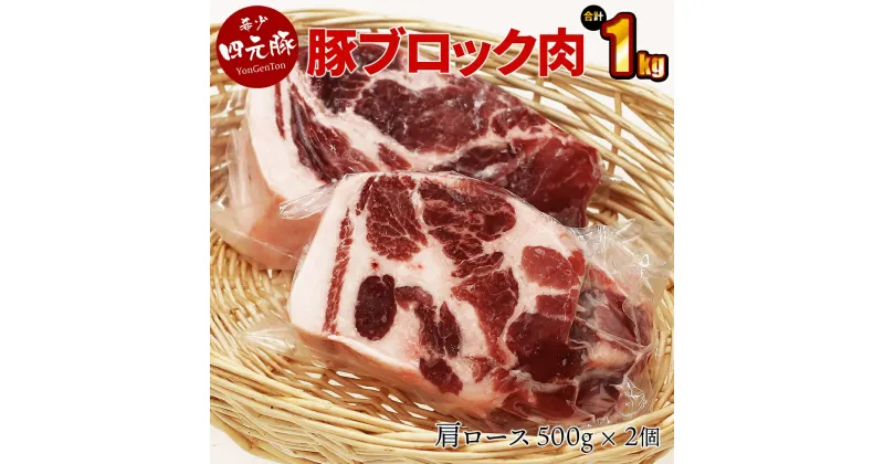 【ふるさと納税】GIFTON 岩手 四元豚 豚肩ロース ブロック 1kg 500g 2パック 豚肉 冷凍 プレゼント ギフト 贈り物 ご当地 みやげ お中元 お歳暮 年末年始 大晦日 年越し お正月 パーティー ステーキ 焼肉 煮込み 料理 ストック かたまり肉 ごえん株式会社