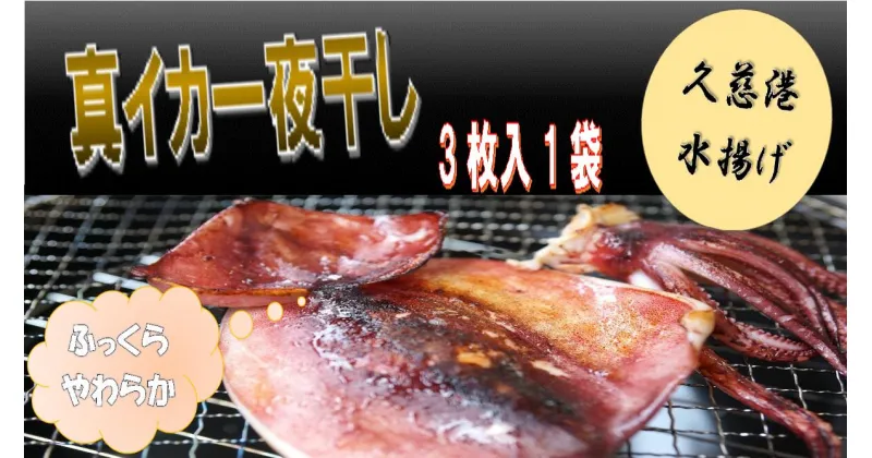 【ふるさと納税】【久慈港水揚げ】イカ一夜干し3枚入り×1袋