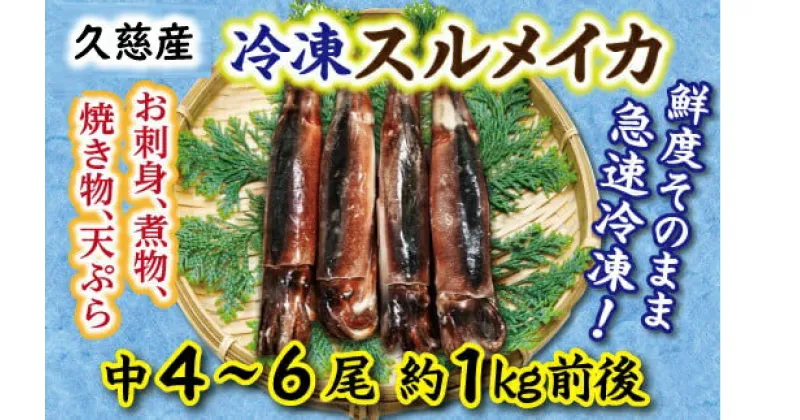 【ふるさと納税】【久慈港水揚げ】冷凍スルメイカ中4～6本（約1kg前後）