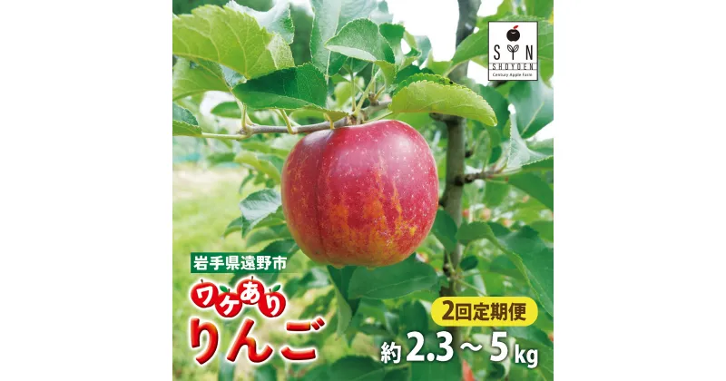 【ふるさと納税】訳あり りんご 【 2回 定期便 】選べる 容量 約 2.3kg 3kg 5kg 11-12月発送 わけあり ワケあり 旬 林檎 リンゴ apple アップル フルーツ 松陽園 樹上 完熟 果物 果実 岩手県 遠野市 産 農家直送 産地直送 応援 キズ 割れ 変形 色ムラ サビ 10月31日受付終了