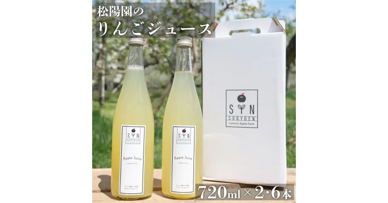 【ふるさと納税】りんごジュース 2本 6本 セット 720ml / 100% 岩手県 遠野市 松陽園 りんご農家 松陽園 農家 産地 直送 ギフト 贈答 お祝い 箱 詰め合わせ 送料無料 リンゴ アップル 果汁飲料 林檎 朝食 無添加 健康