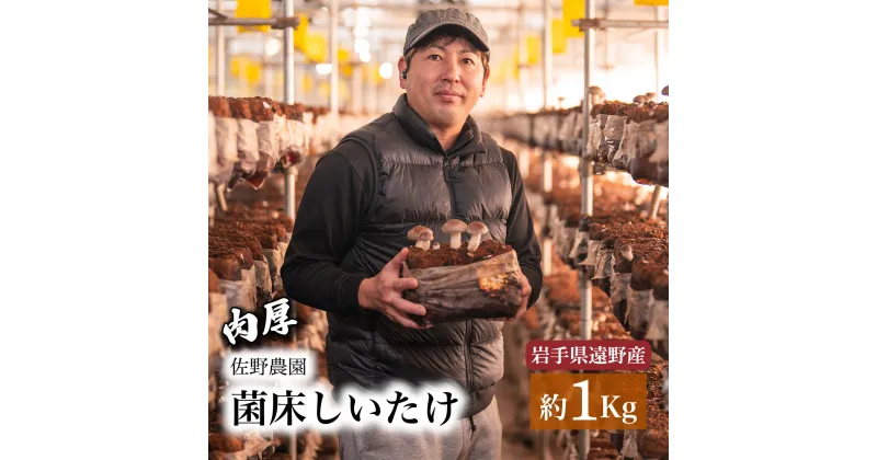 【ふるさと納税】しいたけ 1kg 遠野産 菌床 生 椎茸 きのこ 菌床 岩手県 遠野市 産 国産 出汁 だし 料理 肉厚 送料無料 産地直送 M サイズ 鍋 網焼き 肉厚 ジューシー 肉詰め BBQ バーベキュー 焼肉 ヘルシー 野菜 たっぷり 産直