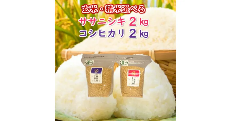 【ふるさと納税】《 新米先行予約 》令和6年産 有機栽培米 コシヒカリ 2kg 自然栽培米 ササニシキ 2kg セット 米 ササニシキ コシヒカリ