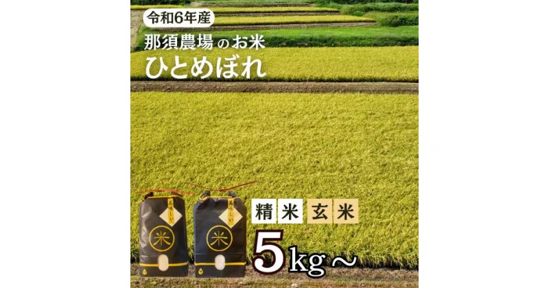 【ふるさと納税】令和6年産 新米 ひとめぼれ 【選べる】 精米5kg 玄米5.5kg 精米10kg 玄米11kg