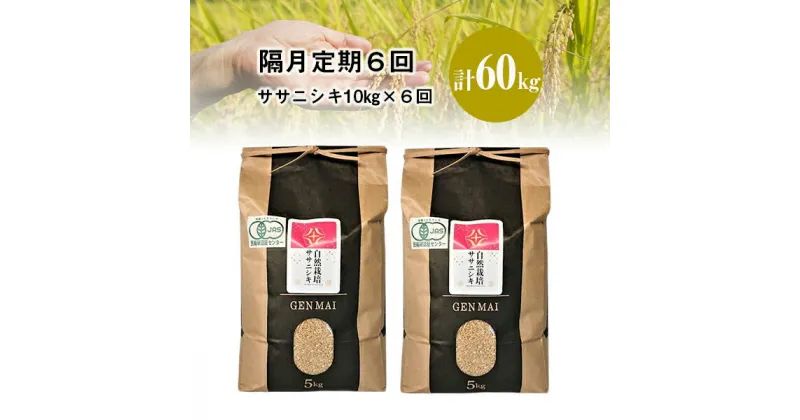 【ふるさと納税】《 新米先行予約 》隔月 定期便 6回 令和6年産 自然栽培米 ササニシキ 10kg (5kg×2)お米 6times 岩手県産 一関市