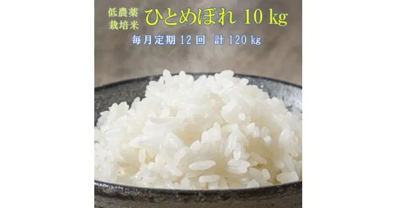 【ふるさと納税】《 新米先行予約 》定期便 12ヶ月 令和6年産 低農薬栽培米 ひとめぼれ 10kg お米