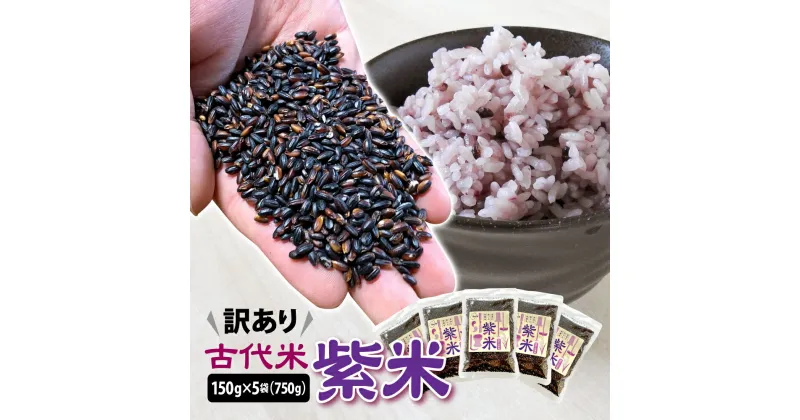 【ふるさと納税】 訳あり 古代米 紫米 150g 5袋 計750g 小分け セット お試し 黒米 紫黒米 玄米 ご飯 もち米 栄養 アントシアニン 国産 一関 花泉 岩手 おにぎり 弁当 カレー 自然 食品 香り 紫 スーパー 米 コメ もち おりざ 古代米おりざ 混ぜるだけ こめ ＜時間指定不可＞