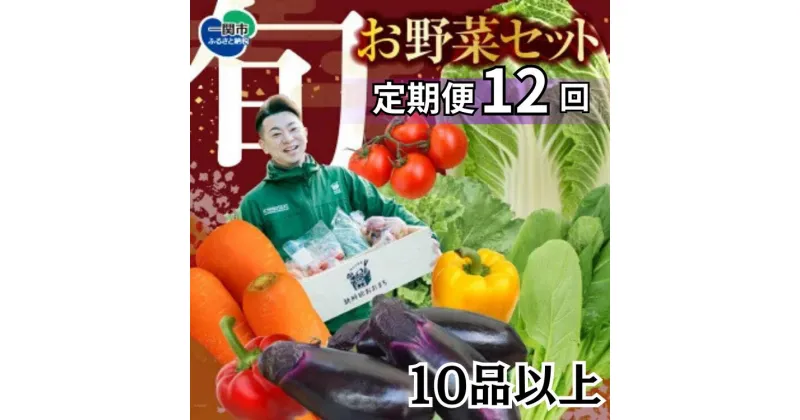 【ふるさと納税】野菜 定期便 12回 野菜セット 旬 新鮮 詰め合わせ セット ギフト 直送 農家 夏野菜 おまかせ お取り寄せ 産直直送 産直 秋 冬 サラダ 詰合せ 12times