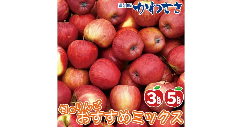 【ふるさと納税】＜先行予約＞道の駅かわさき 旬のりんご 生産農家のおすすめ詰合せ ≪11月中旬から順次発送≫ りんご 道の駅かわさき