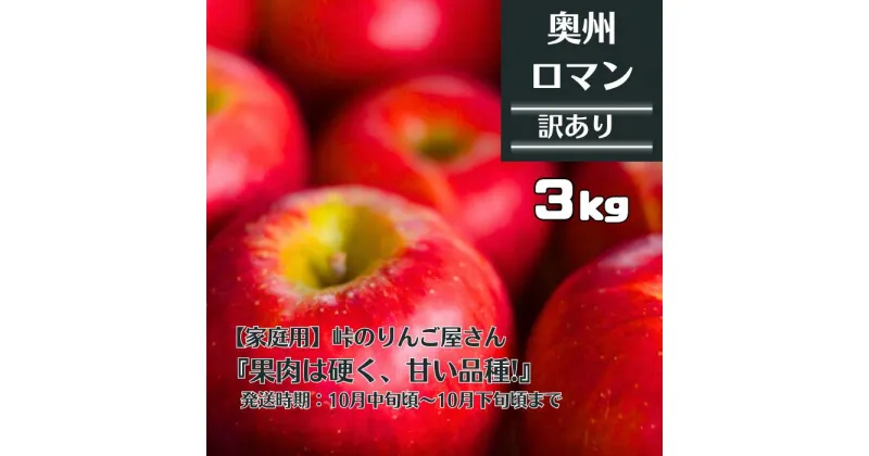 【ふるさと納税】【家庭用】峠のりんご屋さん 奥州ロマン 3kg（10～12 玉入り）