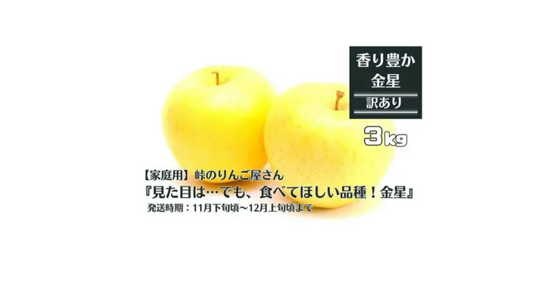 【ふるさと納税】【家庭用】峠のりんご屋さん 金星 3kg（10～12 玉入り）