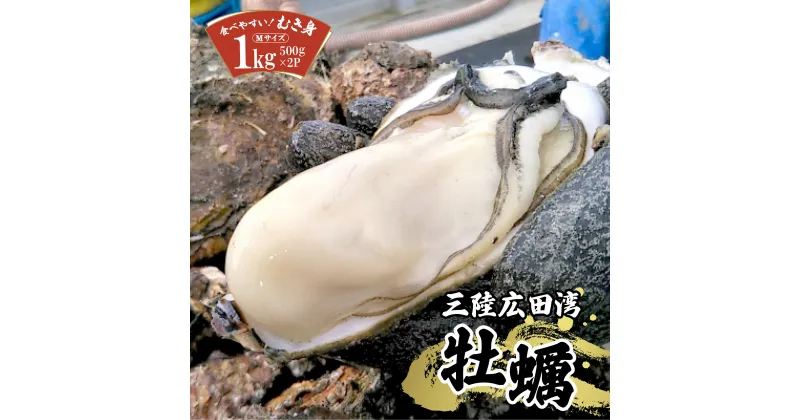 【ふるさと納税】 牡蠣 むき身 加熱用 1kg (500g×2パック) Mサイズ 発送時期が選べる [ 日本一 初競り かき カキ 冷蔵 数量限定 大粒 小分け 料理 便利 鍋 牡蠣鍋 アヒージョ カキフライ 蒸し 焼き BBQ バーベキュー ギフト プレゼント 贈答品 三陸 岩手 陸前高田 鈴吉丸 ]