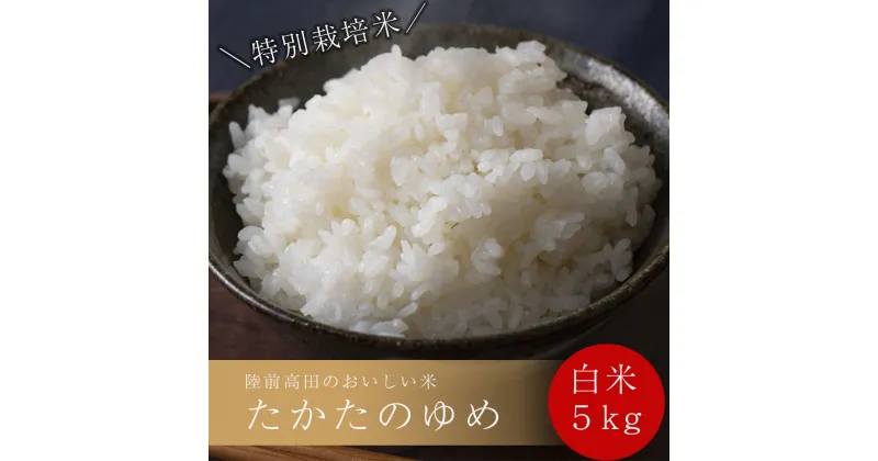 【ふるさと納税】米 5kg 令和6年産 新米 特別栽培米 たかたのゆめ 白米 〈 お米 地域 オリジナル ブランド ご飯 お弁当 おにぎり おむすび 備蓄 非常食 長期保存 ひとめぼれ あきたこまち 健康 人気 おすすめ ギフト 贈答品 アウトドア キャンプ 岩手 陸前高田 〉