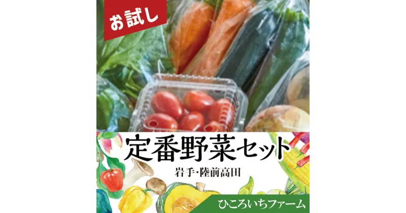 【ふるさと納税】おためし！ 定番 野菜セット [ 産地直送 野菜 やさい ベジタブル 詰め合わせ 季節 旬 お試し 冷蔵 お楽しみ こだわり 農家 地産 農業 料理 岩手 陸前高田 ひころいちファーム ] 大根 白菜 にんじん じゃがいも ブロッコリー きゅうり なす など