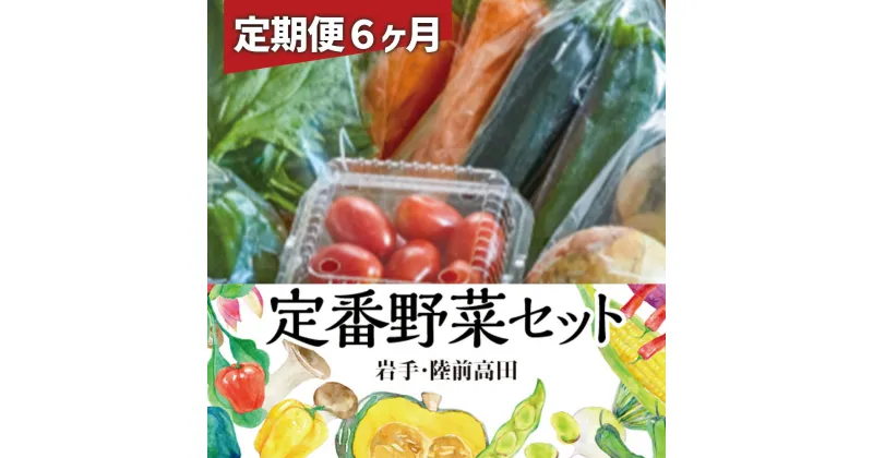 【ふるさと納税】6ヶ月定期便 定番 野菜セット [ 産地直送 野菜 やさい ベジタブル 詰め合わせ 季節 旬 お試し 冷蔵 お楽しみ こだわり 農家 地産 農業 料理 定期便 岩手 陸前高田 ひころいちファーム ] 大根 白菜 にんじん じゃがいも ブロッコリー きゅうり なす など