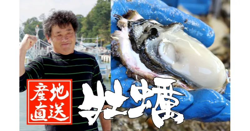 【ふるさと納税】牡蠣 むき身 1kg ( 500g×2袋 ) 中サイズ 加熱用 [ かき カキ 剥き身 冷蔵 個数限定 数量限定 旬 魚貝類 料理 便利 鍋 牡蠣鍋 アヒージョ カキフライ 蒸し 焼き BBQ バーベキュー ギフト プレゼント 三陸 広田第十八 玉丸 ] 2024年11月上旬頃から順次発送