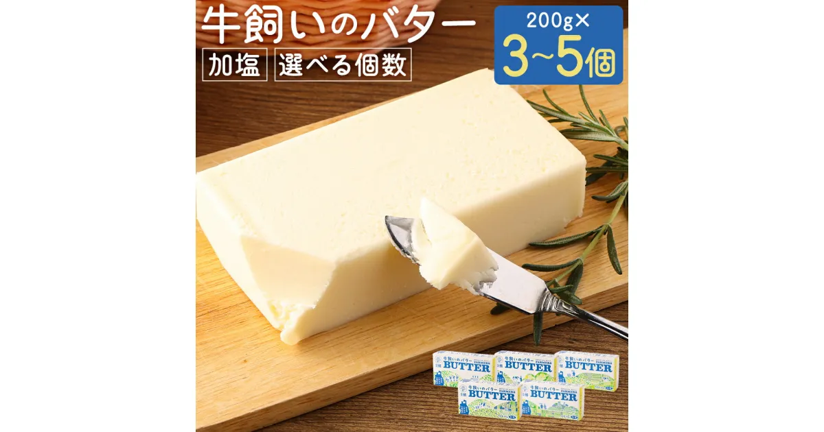 【ふるさと納税】牛飼いのバター 加塩 3個/5個 選べる個数 1個200g バター 白いバター 有塩 乳製品 冷蔵 国産 二戸市 岩手県 送料無料