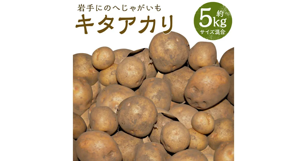 【ふるさと納税】厳選品 岩手にのへじゃがいも「伝」 キタアカリ 約5kg サイズ混合 じゃがいも 芋 じゃが芋 野菜 二戸市産 岩手県産 国産 送料無料【2024年9月中旬～2025年2月下旬に順次発送予定】