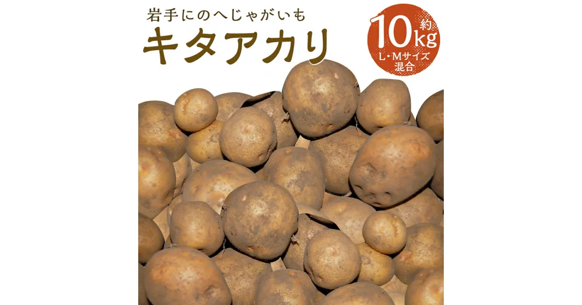 【ふるさと納税】厳選品 岩手にのへじゃがいも「伝」 キタアカリ 約10kg L・Mサイズ混合 じゃがいも 芋 じゃが芋 野菜 二戸市産 岩手県産 国産 送料無料【2024年9月中旬～2025年2月下旬に順次発送予定】