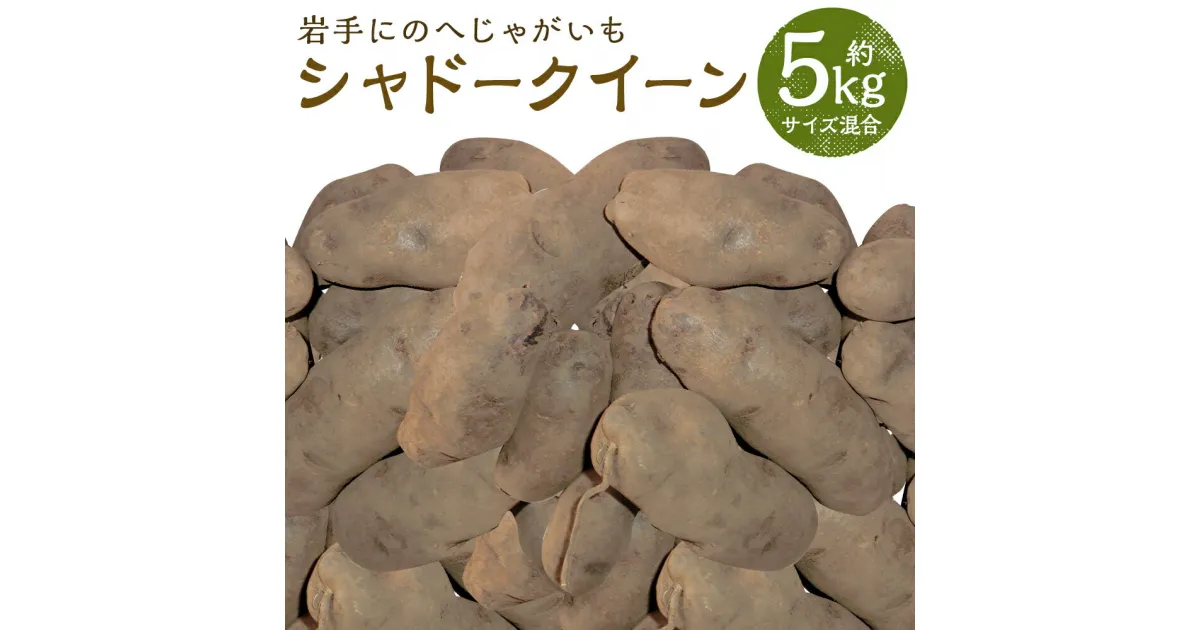 【ふるさと納税】厳選品 岩手にのへじゃがいも「伝」 シャドークイーン 約5kg サイズ混合 じゃがいも 芋 じゃが芋 野菜 二戸市産 岩手県産 国産 送料無料【2024年9月中旬～2025年2月下旬に順次発送予定】