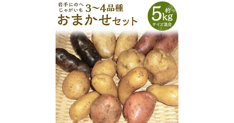 【ふるさと納税】厳選品 岩手にのへじゃがいも「伝」 3～4種 品種おまかせ 約5kg サイズ混合 ランダム おまかせ セット じゃがいも 芋 じゃが芋 野菜 二戸市産 岩手県産 国産 送料無料【2024年9月中旬～2025年2月下旬に順次発送予定】